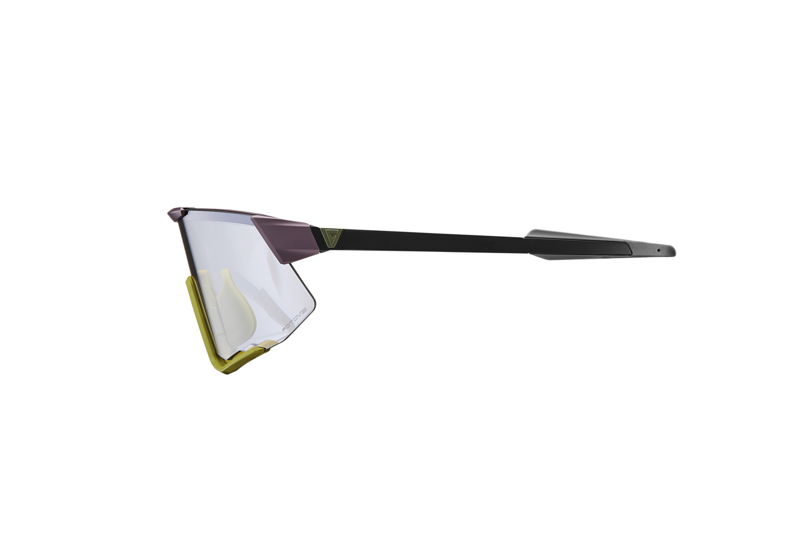 Giant Lumea Black Frame Purple Fotovis Lens-2