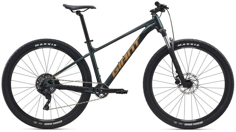 Giant Talon 2 in Asphalt Green