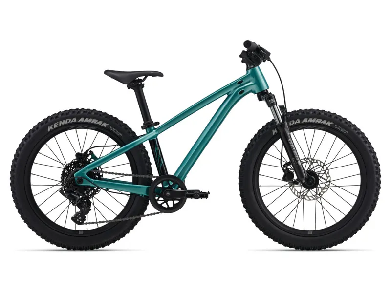 STP 20 FS-Giant One Size Teal