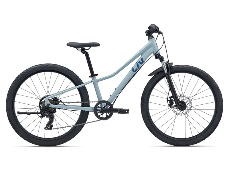 Giant Tempt 24 Disc One Size Dusty Blue