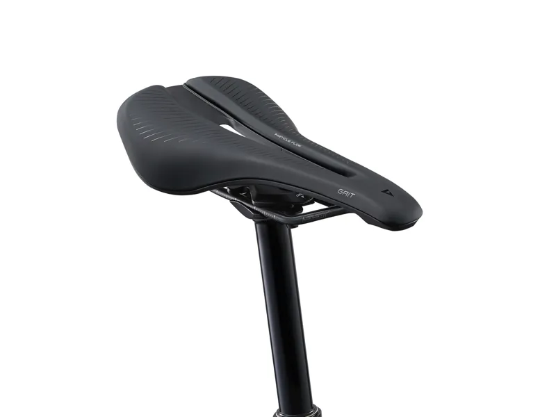 Giant Anthem Advanced 29 1 Mountain Bike in Raw Carbon-1