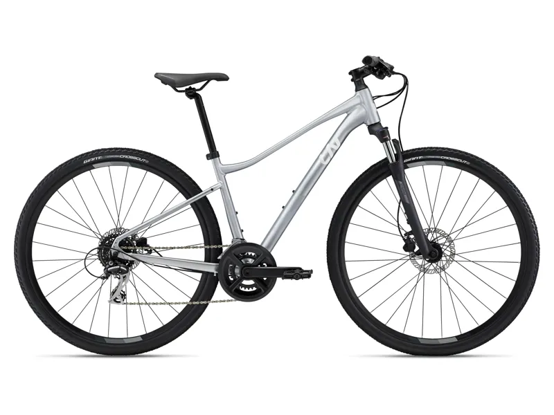 Liv Rove 3 DD Women's Hybrid Bike XS in Silver