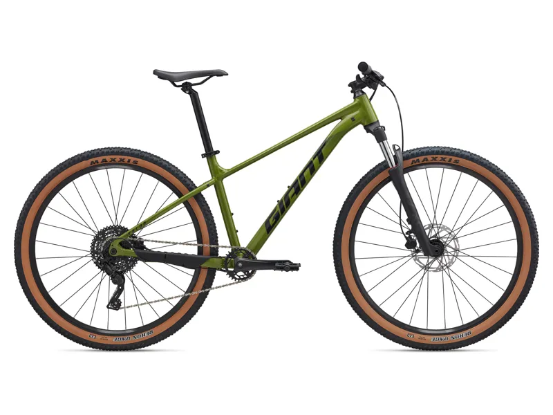 Giant Talon 29 2 Mountain Bike S in Dried Matcha