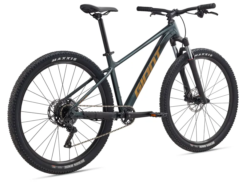 Giant Talon 29 2 Mountain Bike S in Phantom Green-1