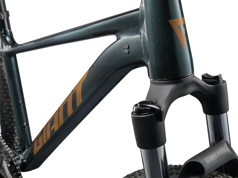 Giant Talon 29 2 Mountain Bike S in Phantom Green-4
