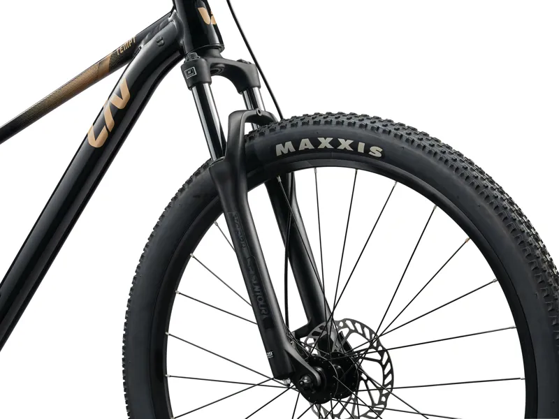 Giant Tempt 4 Women's Mountain Bike XS in Black Chrome-4