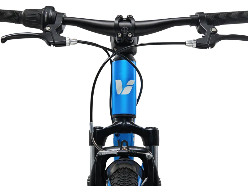 Liv Tempt 20 Bike in Blue-3